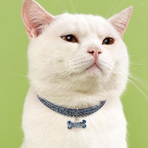 Hundebekleidung Halsband 3 Reihen Strass elastische Haustier Halskette Kette Katze Kristall liefert kleine Accessoires Tag
