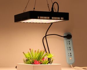 1000W Full Spectrum LED Grow Light Dubbel Switch Red Blue Plant Growth Lamp för inomhusplantor Flower Veg Tent