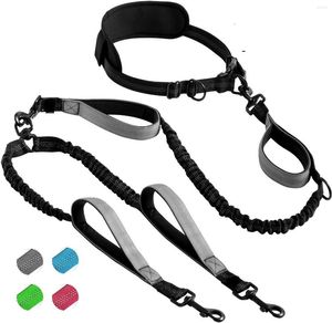 Dog Collars Fashion Pet Supplies Fitness Sports Running Traction Rope Multi-Function Belt For Outdoor