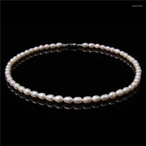 Ketten Natürliche Perlenketten Weiße Süßwasser Echte Perlen Perlen Chockers Eleganter Kragen Hochzeit Kette Schmuck Frauen Geschenk