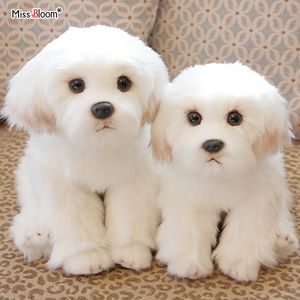 Plush Dolls Maltese Stuffed Dog Dolls Plush Toy Cute Simulation Pets Fluffy Baby Birthday Gifts Christmas Children Malzis Puppy Drop 230208