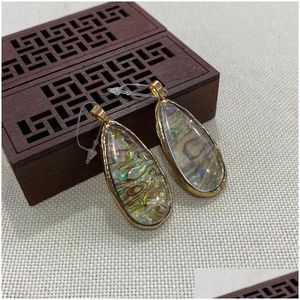 Charms Natural Abalone Shell Drop Form