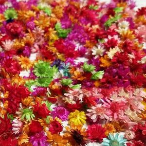 Flores decorativas Diy Decoração artificial de flores 100pcs Cabeça seca multicolor