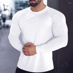 Men's T Shirts Casual Simple Solid Color Slim T-shirt Men Fall Fashion Tight Long Sleeve Crew Neck Tee Spring Mens Sports Fitness Training