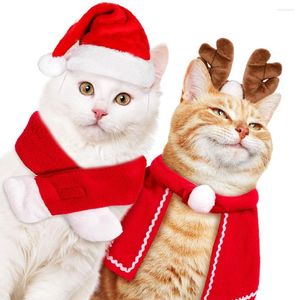 Dog Apparel Christmas Winter Outfits Small-Sized Clothing Pet Outdoor Clothes Set Year Presents Accessories Pets Type 3