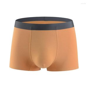 Herr shorts män boxare underkläder bambu fiber sexiga boxershorts herrar byxor andningsbara manliga trosor