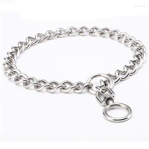 Hundhalsar Silver Silver i rostfritt stål P -kedja choke PET -krage för medelstora stora hundar Roterande spännedesign Training Metal Slip Necklace