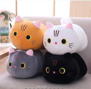 25cm plush toy Cartoon cat doll cute round eye kitten pillow girlfriend gift Children's gift
