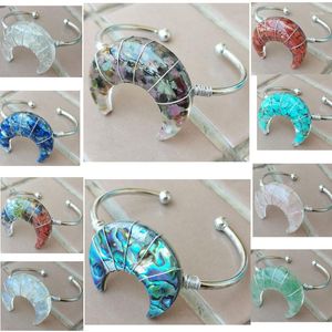 Charm Bracelets Beautiful Jewelry Crystal Zealand Abalone Shell Moon Art Bead Bracelet PWB1015