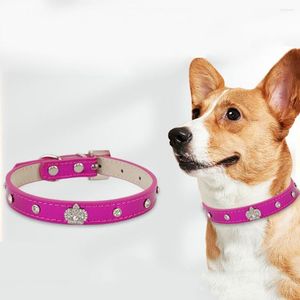 Collari per cani Collare Fibbia regolabile Design Accessori per collo con strass a corona per animali domestici