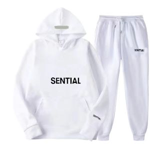 Herrspårarnas herrkvinnor Tracksuit mode ess Sweatsuit män två stycken 22 färger hiphop byxor manliga streetwear brev tryck spår kostymer 2ft18