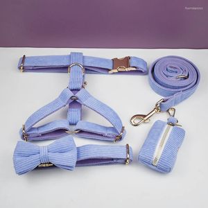 Hundkrage Purple Corduroy Velvet Collar and Leash.