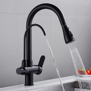 Kitchen Faucets Filter Dual Handle 360 Rotation And Cold Water Pull Out Sink Mixer Purification Tap