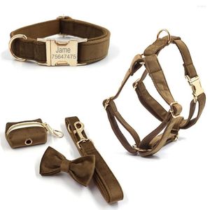 Hundehalsbänder, personalisiertes Halsband, individuelles ID-Tag, weiches Samtgeschirr, Leine, klein, mittelgroß, großer Kotbeutelspender, Beutel, Schleife