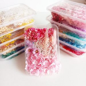 Decorative Flowers DIY Dried Flower Plant For Making Phone Case Candles Handmade Crafts Epoxy Resin Pendant Necklace Jewelry Box Petals