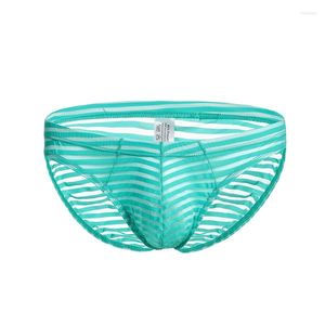Underpants 1 Pcs Mens Sexy Striped Transparent Underwear Briefs Low Rise See Through Stretch Penis Pouch Sissy Bikinis