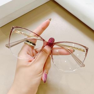 Sunglasses Eye Protection Plastic Titanium Big Frame Anti Blue Light Glasses Women Frames TR90 Fashion Computer Eyeglasses Clear Eyewear