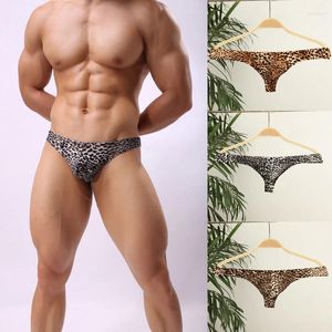 İç çamaşırları seksi leopar g-string erkekler iç çamaşırı şişkin torba şort bikini thongs boksör kısa