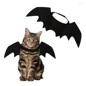 Trajes de gato engraçado asas de morcego vestidas de morcego vampiro decoração de asa preta de cachorro pequeno vestido fantasia vestido de pet shalloween traje presente