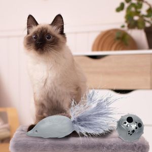 Toys de gatos provocam treinamento de brinquedos para animais de estimação tocando acessórios internos de gatinhos cuidados interativos