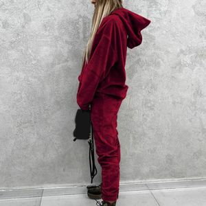 Calças de duas peças femininas 2 PCs/set Spring Hoodie Sortpants Suit Pocket Women Winter Tracksuit de inverno na cintura