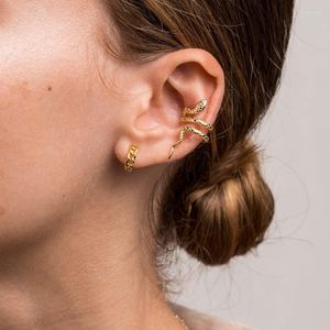 Brincos de garanhão 2023 Design mínimo feminino delicado cor de ouro CZ Único moda pequena forma de cobra 1 peça breol de punho de orelha por atacado