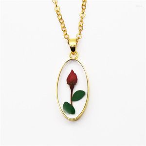 Pendant Necklaces 2023 Fashion Real Flower Resin Necklace Do Not Forget Me Rose Women's Jewelry