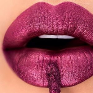 Lip Gloss Matte Metallic Liquid Lipstick 12 cores impermeabilizante glitter durar brilhante Festival de festas de toninha