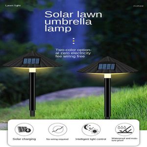 Solar Lawn Lamp Outdoor Landscape Light Control Decorative Floor