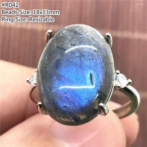 Clusterringe Top natürlicher Labradorit Ring Schmuck für Frauen Lady Männer Kristall 18x13mm Perlen Heilung Luck Moonstone Stone Verstellbar