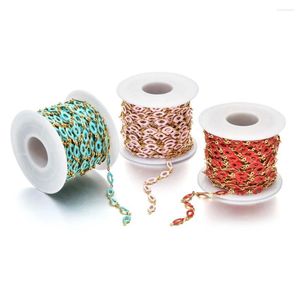 Chains Wholesale 1m/pack Stainless Steel Colorful Enamel Lips For Jewelry Making DIY Cute Chokers Bracelet Necklaces Supplies