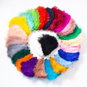 Ostrich Feather Decorations Bakgrund Party Wedding Birthday Po Props Wall hela årsdagen levererar 15-20 cm 100 st varje B210s