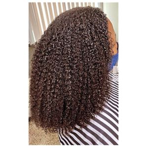 4A 4B 4C Afro Kinky Curly Human Hair Peruka dla czarnych kobiet Top Suring Blueless Raw Human Hair Peruki