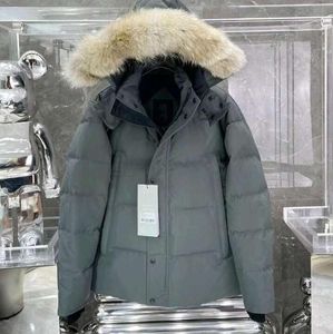 2023SS Herrarna Down Parkas Designer Men Canada Chateau Parka Black Navy Gray Jacket Winter Coat Jackor Rockar Pälsförsäljning med online manliga Hommedm5es