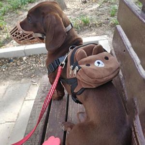 Capas de assento de carro de cachorro Backpack de nylon fofo para cães médios pequenos convenientes lanches portáteis de grande capacidade