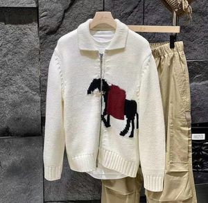 Nowe męskie klasyczne swetra swetra Mężczyźni wiosna jesienna odzież Swetery męskie koszulka na drutach damskie ubrania pod marką