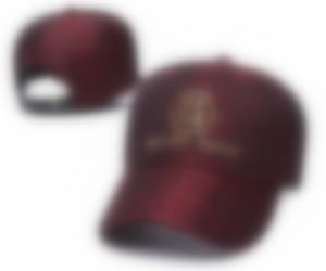 2023 Бейсбольные шляпы шляпы для мужчин и женщин Новая модная кость изобиленная козырька Cacquette Snapback Cap Hip Hop Streetwear Hat Hats n20