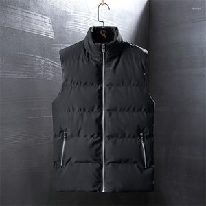 Mäns ner 2023 Vest Autumn and Winter Cotton Korean Fashion Handsome Jacket