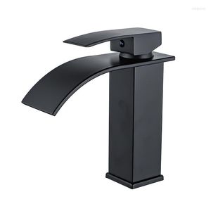 Bathroom Sink Faucets Kitchen Basin Faucet Stainless Steel Fashion Black Copper Bottom Square Single Hole Baking Paint Cold Taps