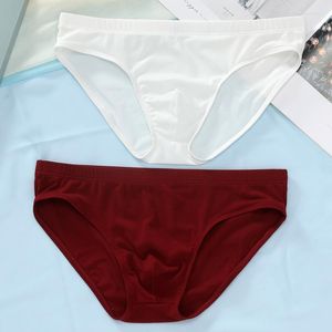 Underpants Men Briefs Sexy Low Waist Stretch Stripe U Convex Underwear Movement Breathable Soft Thin Non Trace Simple Male Panties J48