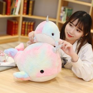 Dolphin Rainbow Narwhal Plush Toy Bambola Whale Pillow Bambola Regalo di compleanno di 28 cm Lt0010