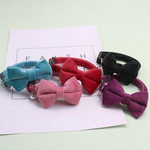 Dog Collars Cute Cat Velvet Collar Small Puppy Bow Kitten Bowknot Necklace With Bell Chihuahua Pet Supplies