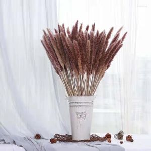 Decorative Flowers 30Pcs Dried Reed Flower Arrangement Natural Pampas Grass For Modern Home Decoration Party Backdrops Wedding Supplies