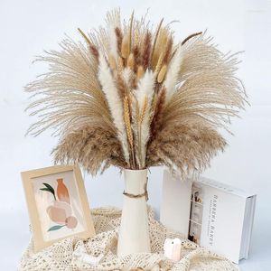 Dekorativa blommor naturliga torkade pampas gräsdekoration fluffiga växter vaser dekor bukett boho för tabell