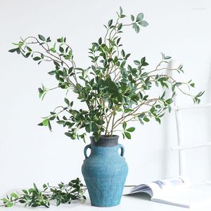 Декоративные цветы роскошные tenuifolia ficus ream