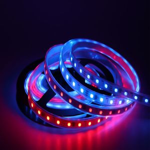 60LED/M 30LED/M WS2811 MAGIC LED -strip programmerbar vatten RGB -ljus remsor Tre lampor En kontroll LED -belysning DC12V IP65 Silikonbeläggning Vattentäta