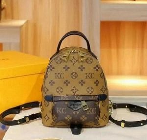 Mode Europa Echtes Leder Palm Springs Frauen Tasche Berühmte Designer Handtaschen Rucksack Frauen Umhängetasche Kette Geldbörse Umhängetasche