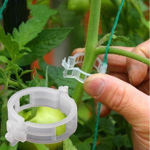 100pcs Plastic Plant Clips Supports Connects Reusable Protection Grafting Fixing Tool Gardening Supplies for Vegetable Tomato