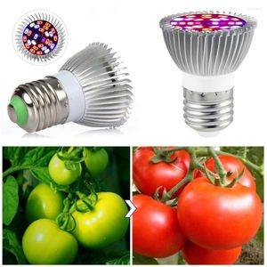 Grow Lights Hydroponic Plant Light Säkert för att använda Universal Full Spectrum E27 LED -glödlampa Uppmuntra spirande