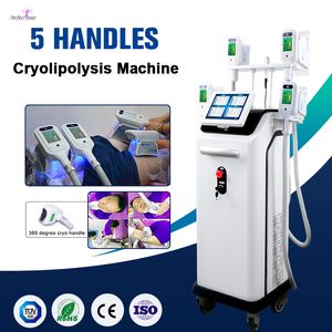 Big Power Body Slimming Treatment Machine Cryolipolysis System 5 Hanterar CE FDA Godkänd logotyp Anpassning